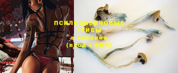 прущие крисы Новозыбков