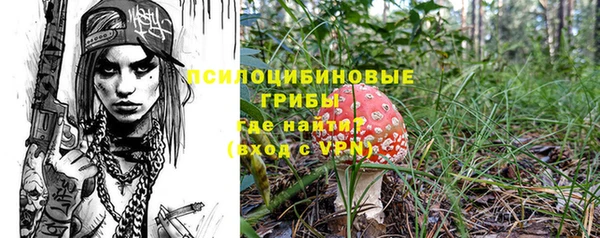 мяу мяу кристалл Няндома