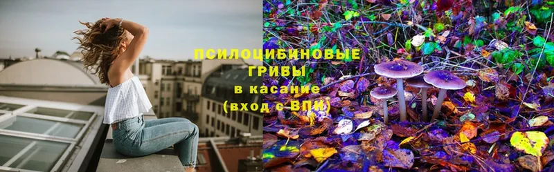 Галлюциногенные грибы Magic Shrooms Иннополис